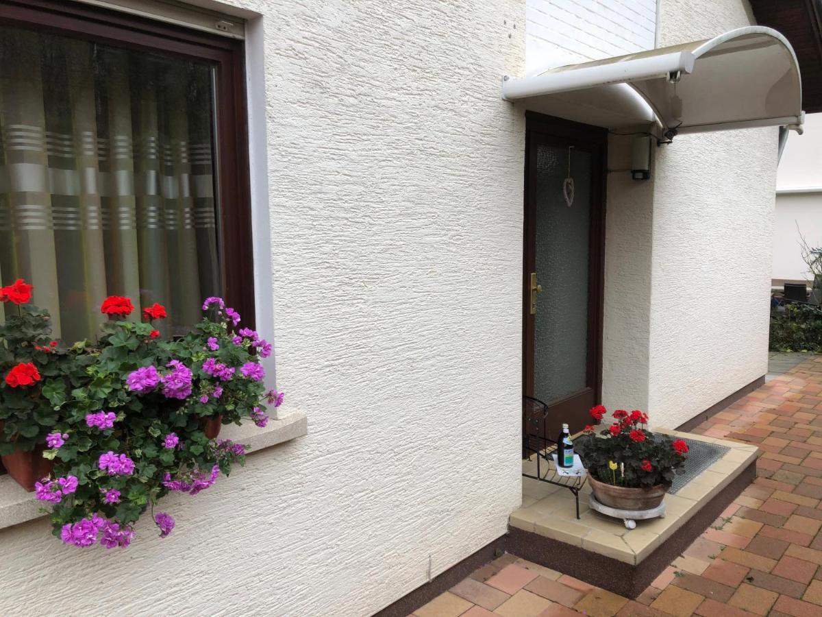 Ferienwohnung Heidelberg Ze-2020-7-Wz Екстер'єр фото